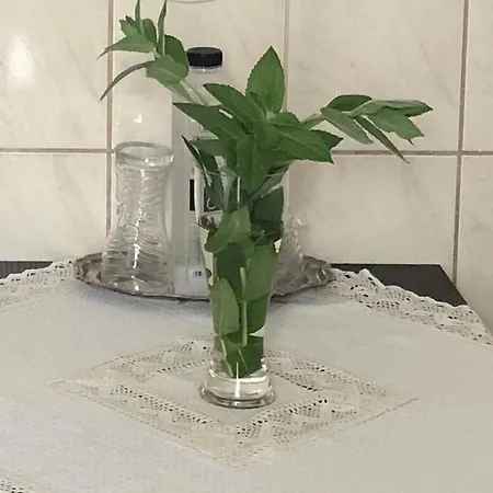 Apartament Strada Nerva Traian 11 Bukareszt