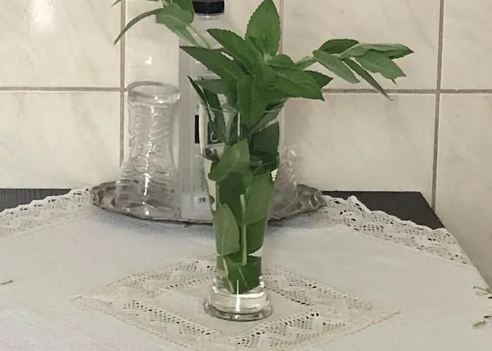 Апартаменти Strada Nerva Traian 11 Бухарест